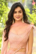 Hemal Ingle
